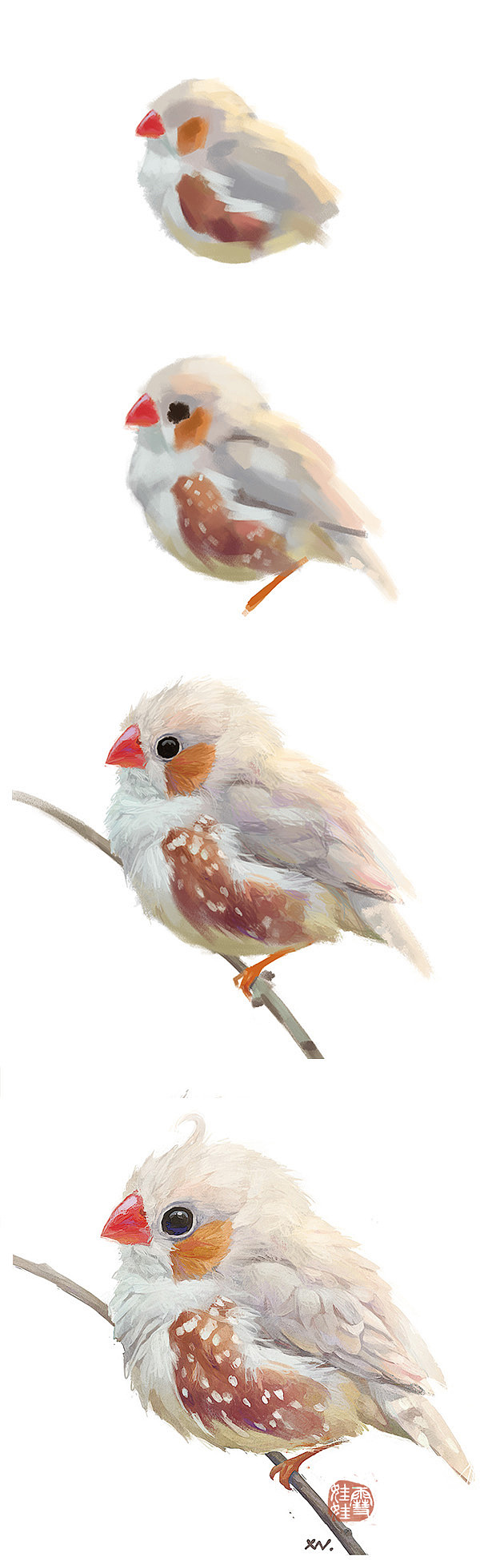 鸟.雀|插画|商业插画|雪娃娃童画_原创作品-站酷(zcool)