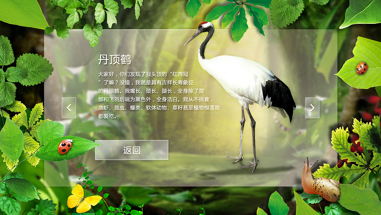 奇趣大自然（图ZNTE2MDE4MTY=） - 运营设计 - 站酷设计师小芸儿19原创素材 - 站酷ZCOOL