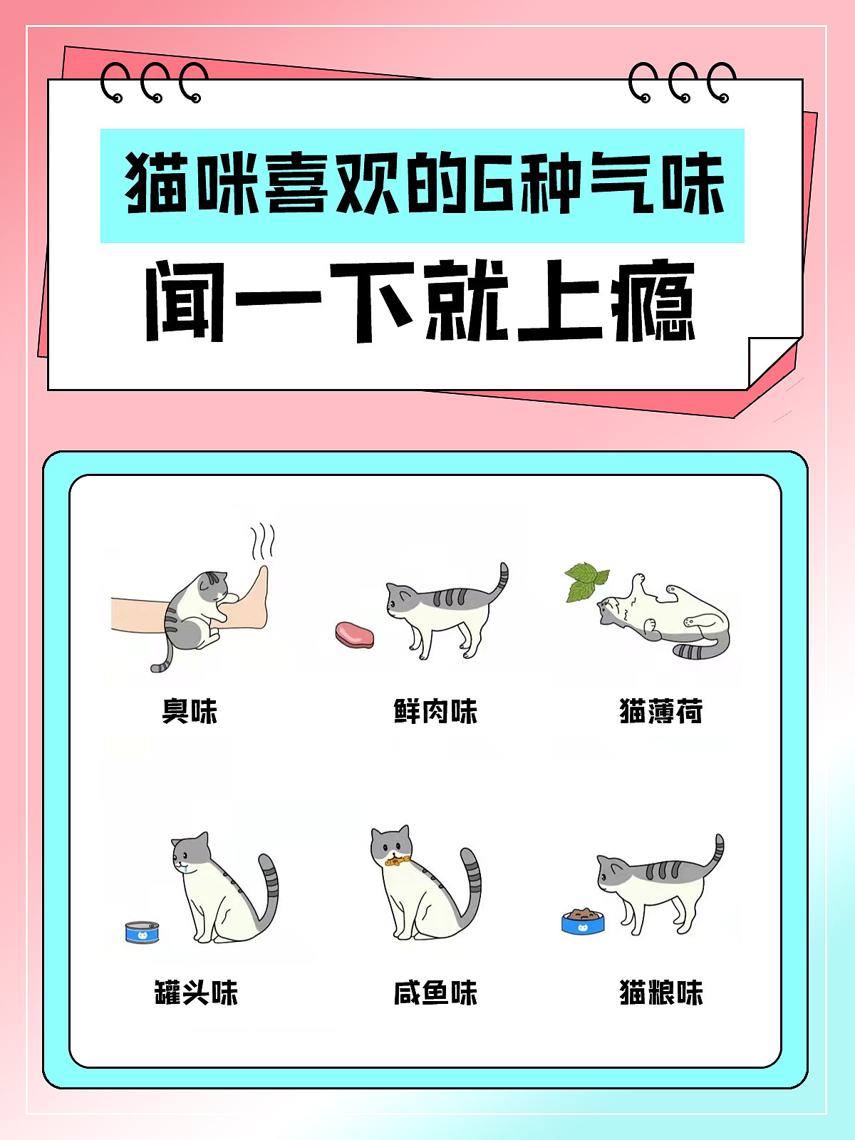 小红书知识分享设计（图ZMjkxMjk2Njky） - 其他平面 - 站酷设计师suoxiakuon原创素材 - 站酷ZCOOL