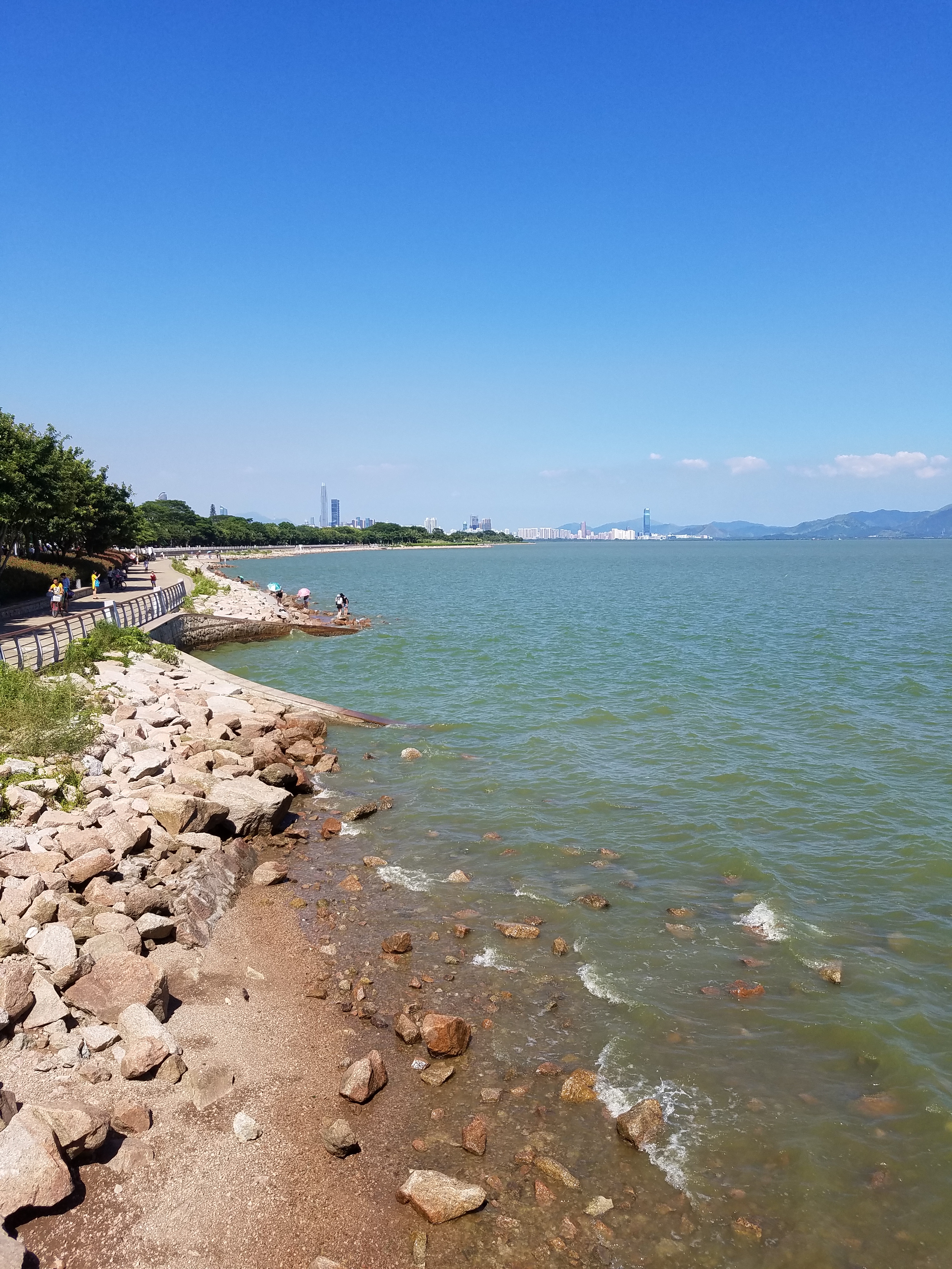 深圳湾海滩图片