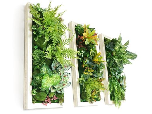 原创手工绿植装饰画