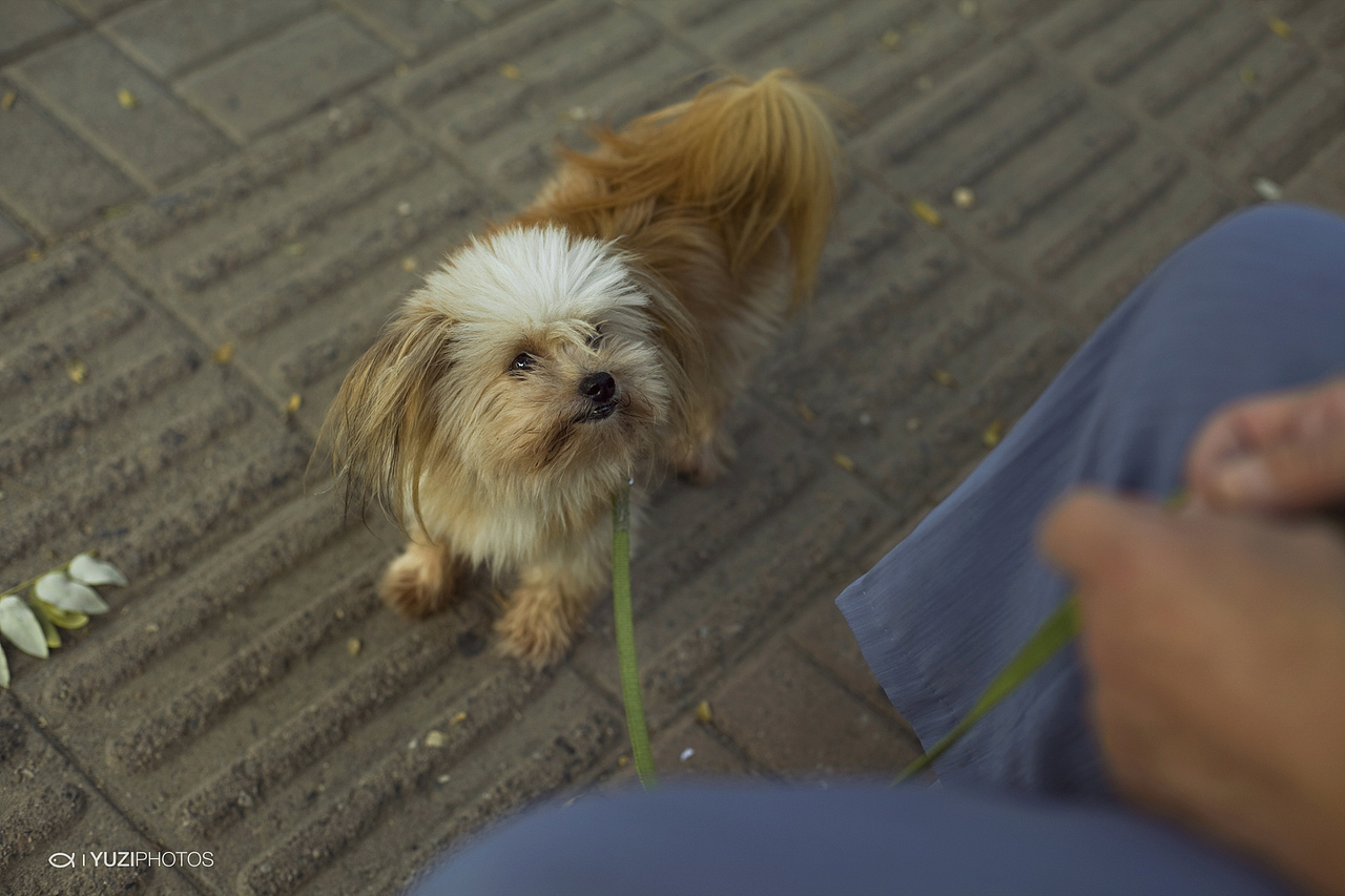 我们的十年（图ZNjk2NTk2OA==） - 人文/纪实摄影 - 站酷设计师疯狂的鱼子原创素材 - 站酷ZCOOL
