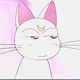 惠灬的头像
