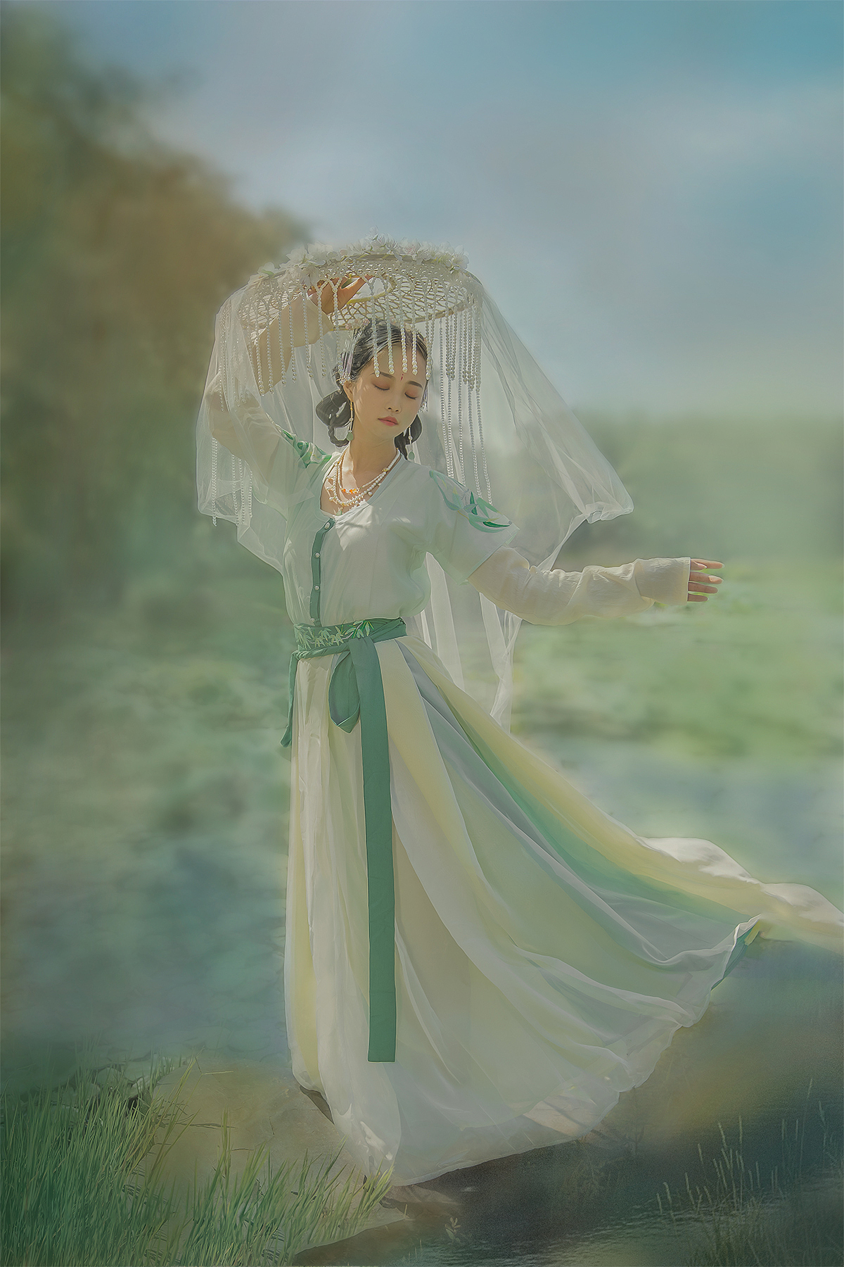 ‖一树满庭芳‖