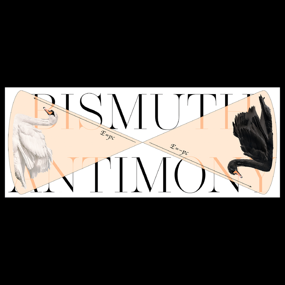 “浦项有黑鸟”的插图