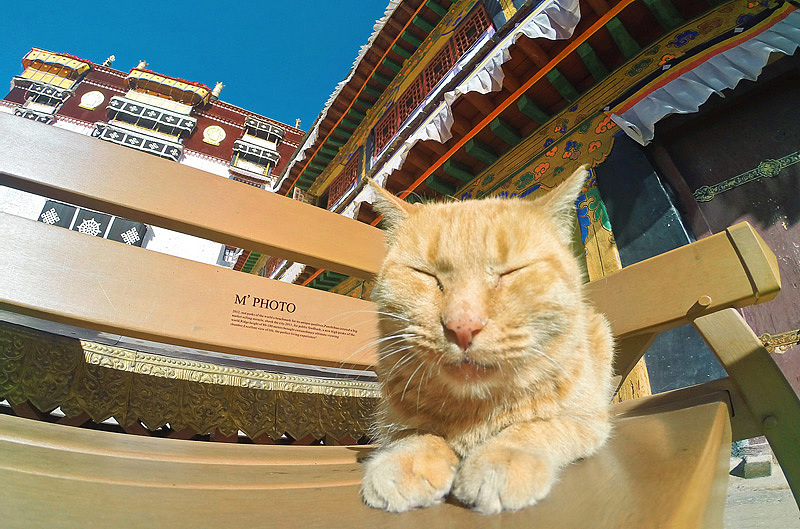 || 設計眼光去攝影 || 西藏 #出发的勇气2014#（图ZMjA1MjY0ODQ=） - 风光摄影 - 站酷设计师缪MIAO原创素材 - 站酷ZCOOL