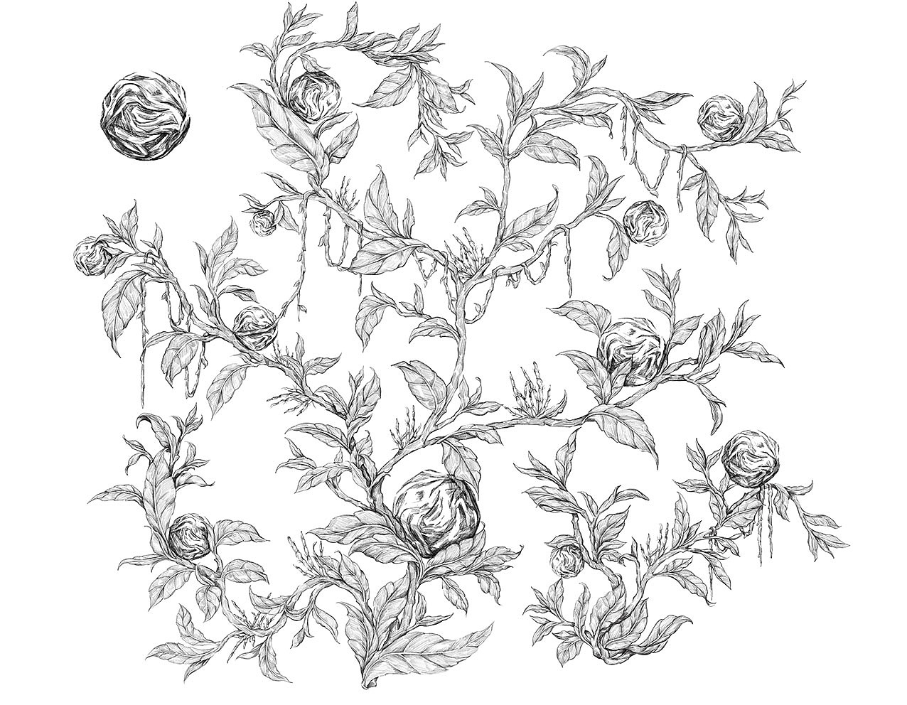 润物设计2020插画集1（图ZMjQyMjgwNjQw） - 商业插画 - 站酷设计师润物志原创素材 - 站酷ZCOOL