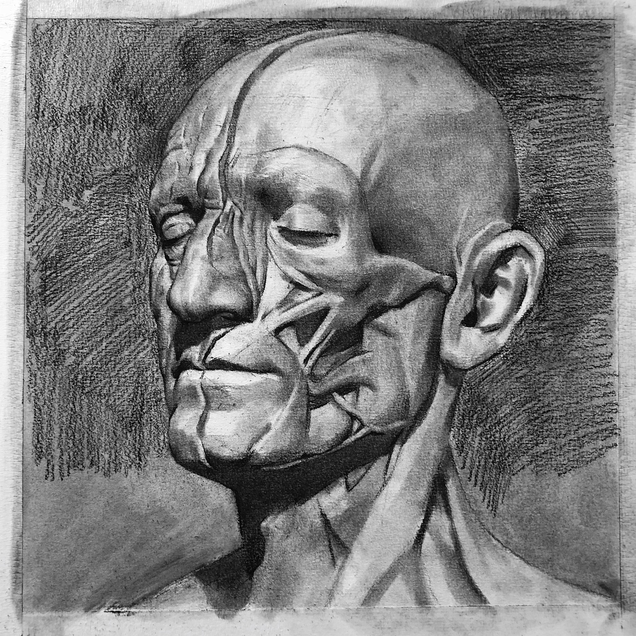 素描人像笔记之头骨和肌肉|纯艺术|绘画|安紫铭 - 原创作品 - 站酷 (ZCOOL)