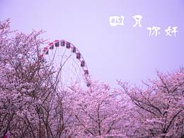 四月你好——樱花