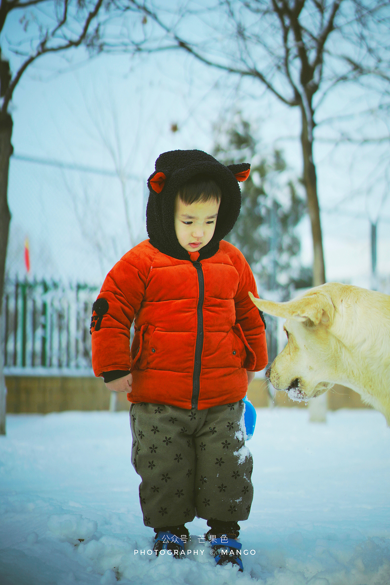 2020#被狗狗欺负的小朋友