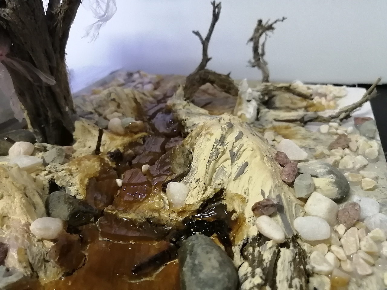 立体构成结课大作业《环境污染》（图ZMjg0MTE0OTA4） - 工艺品设计 - 站酷设计师Z587365968原创素材 - 站酷ZCOOL