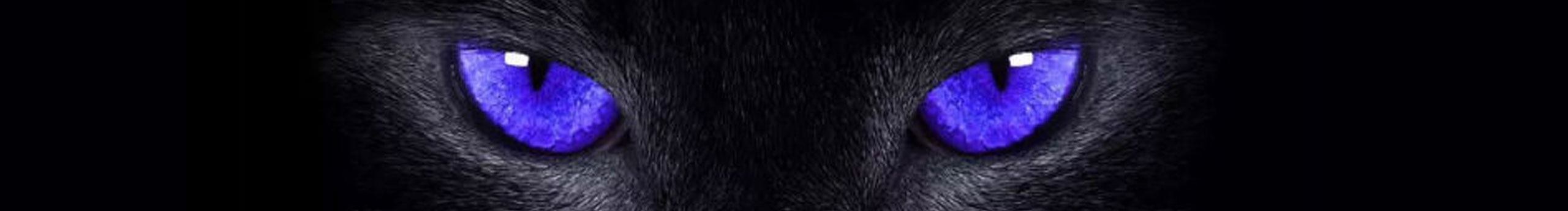 又见木多的个人主页（背景预览） - 主页背景设置 - 站酷设计师又见木多原创素材 - 站酷ZCOOL