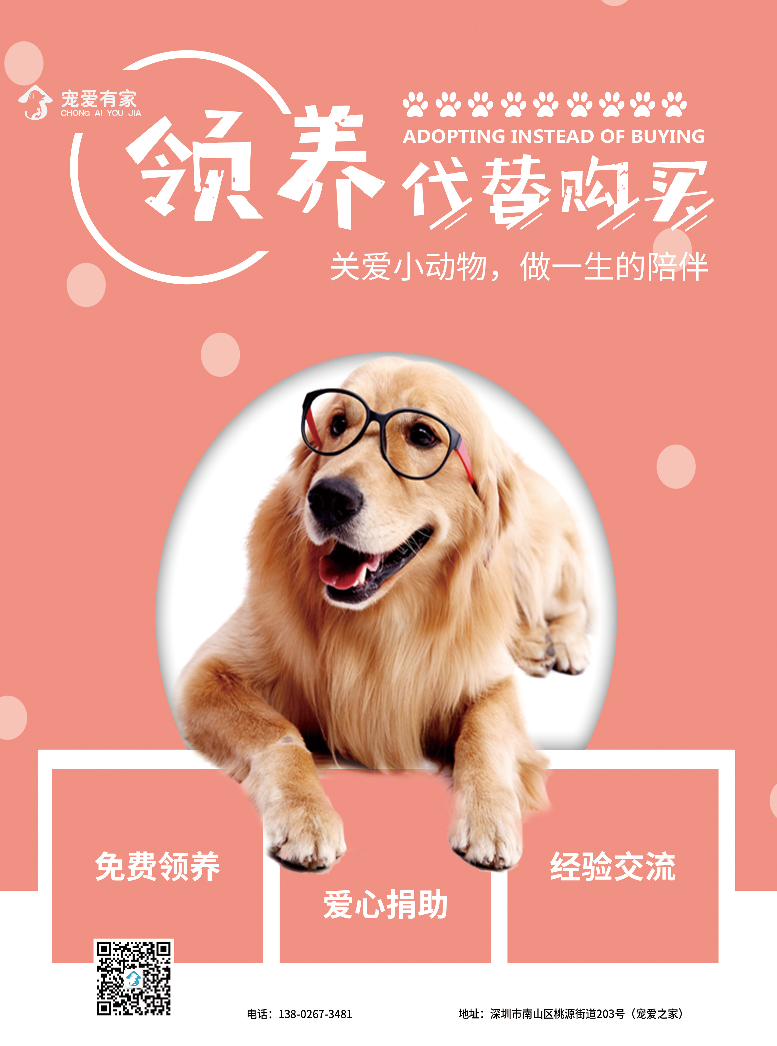 宠物店的领养dm单