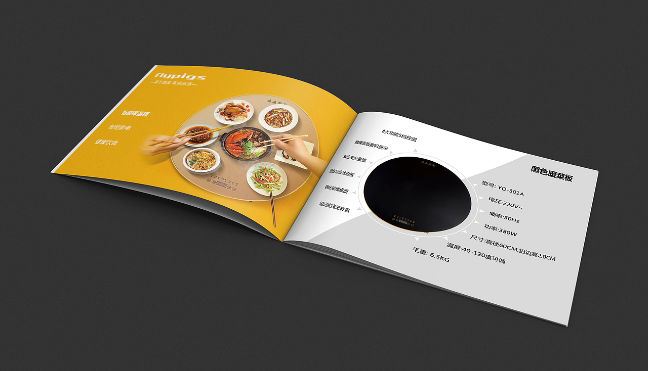 畫(huà)冊(cè)設(shè)計(jì)（圖ZMTA4MjM0MjQ0） - 書(shū)籍/畫(huà)冊(cè) - 站酷設(shè)計(jì)師逸飛01原創(chuàng)素材 - 站酷ZCOOL