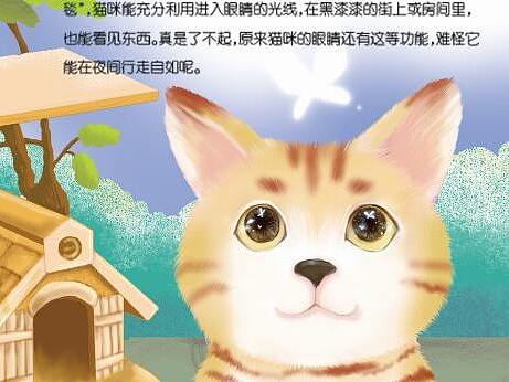 儿童作文插图1