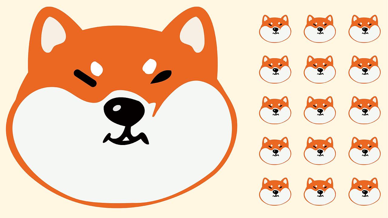 二柴卷饼 品牌视觉方案