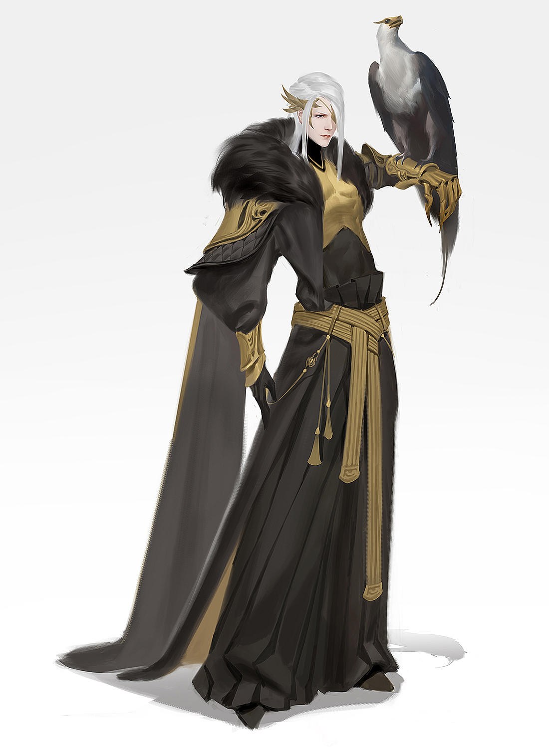 一组不同身份的设计