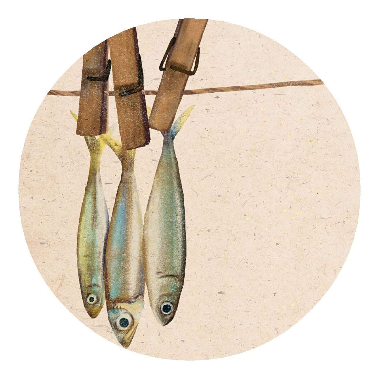 《像咸鱼一样的人生》