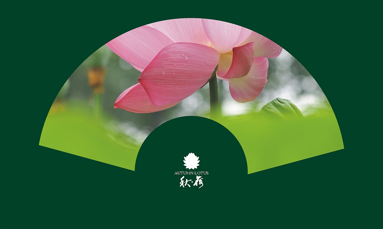 秋荷（图ZMTQ3Nzc2MA==） - 风光摄影 - 站酷设计师ARV雨后视觉原创素材 - 站酷ZCOOL