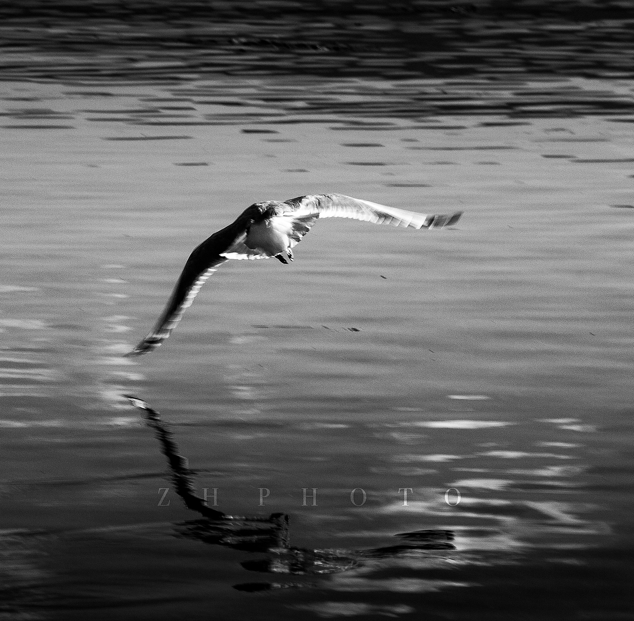 那一年的泸沽湖