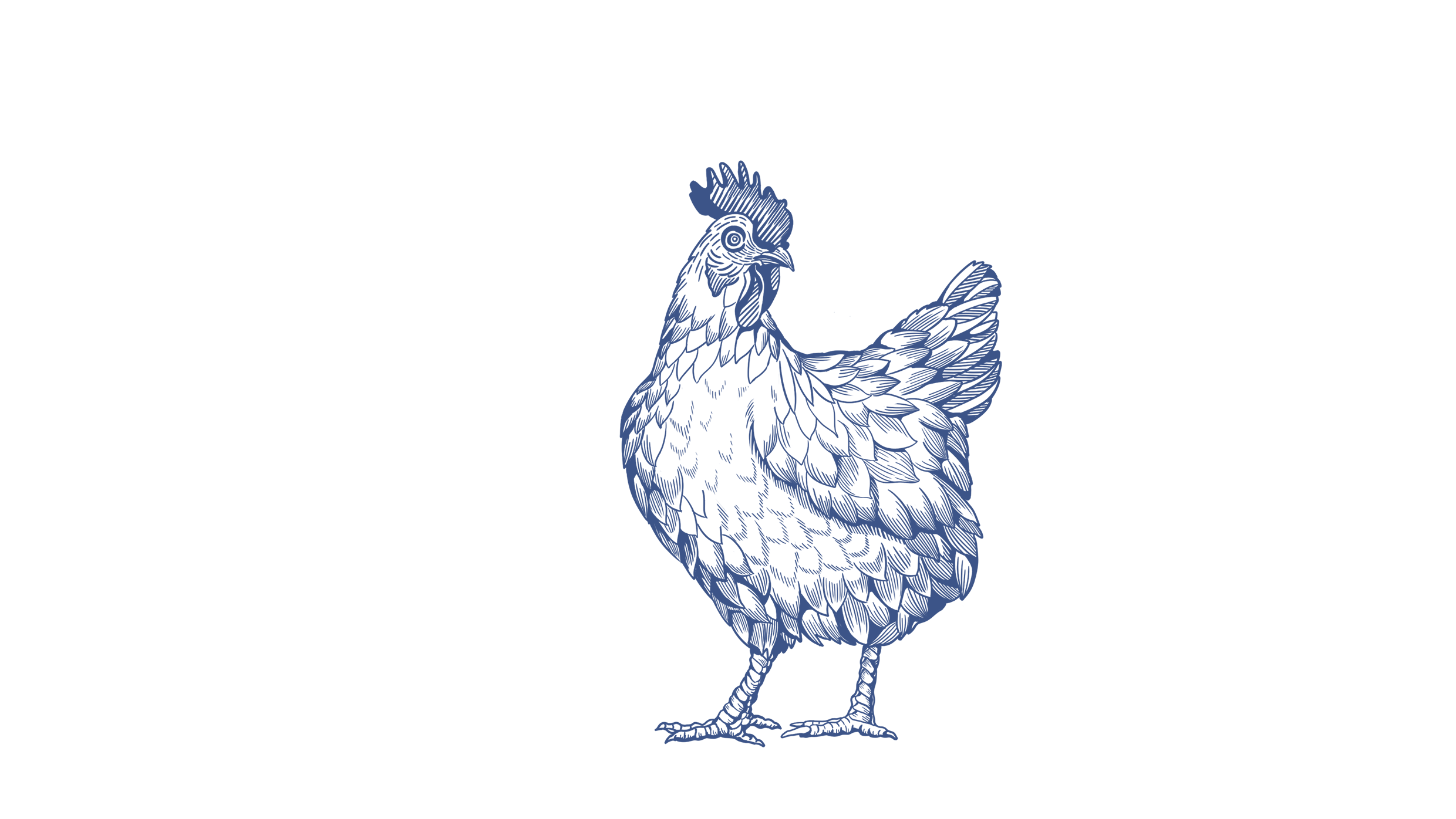 食尚加 | 肉类品牌包装设计【原创】(图ZMjI5ODg0MDA4) - 包装 - 站酷设计师菩示熊品牌设计原创素材 - 站酷ZCOOL