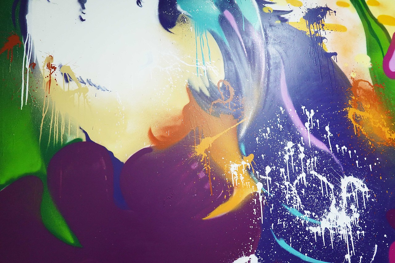 《丛林里的金刚鹦鹉》涂鸦作品