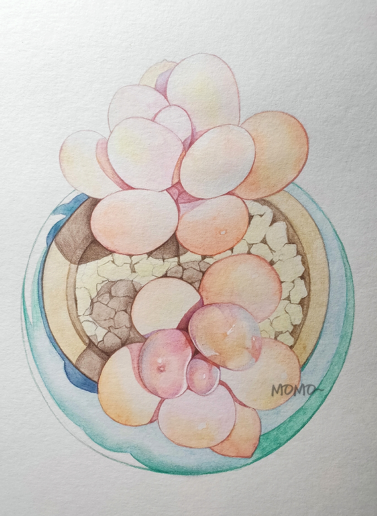 momo的彩铅世界（图ZMjAxNTM3NTAw） - 艺术插画 - 站酷设计师末末的彩铅世界原创素材 - 站酷ZCOOL