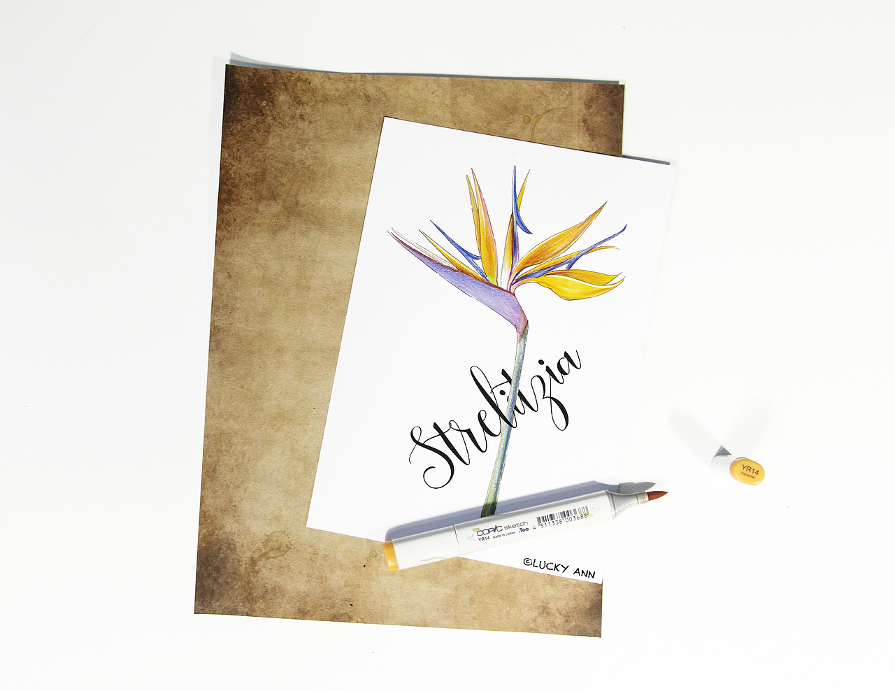 花绘练习（图ZMTE4NzY3NjYw） - 艺术插画 - 站酷设计师莫安安原创素材 - 站酷ZCOOL