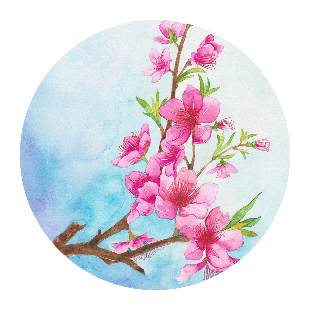 花信風（圖ZOTU0OTE5NTY=） - 商業(yè)插畫 - 站酷設計師吳都Jasmine原創(chuàng)素材 - 站酷ZCOOL