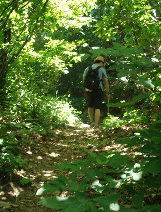 还好一路上绿树成荫
反而成了避暑的一个绝佳去处<br><br>