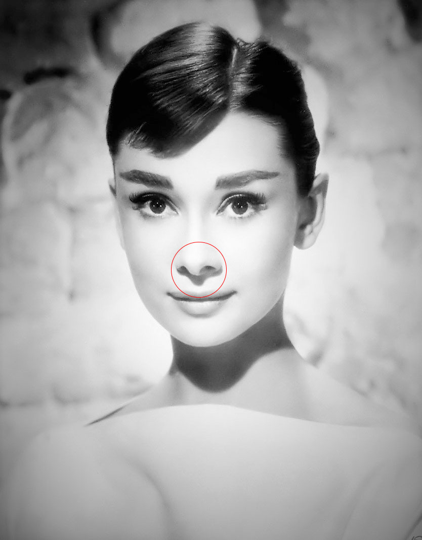 这个布光的命名,来自于鼻下所制造的蝴蝶形对称的影子.