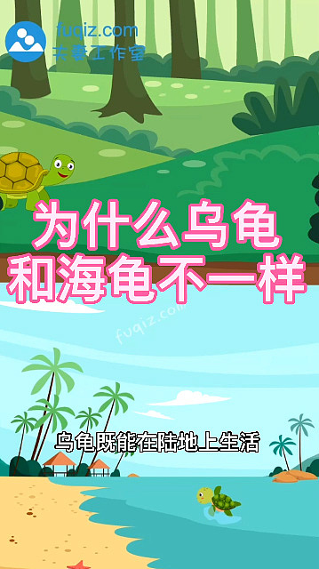 flash动画制作乌龟和海龟有什么不一样（图ZMjY2Nzc2NjY0） - 动画片 - 站酷设计师动画制作工作室原创素材 - 站酷ZCOOL