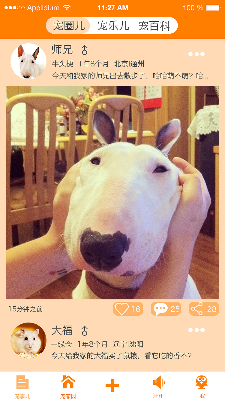 宠物社区app宠事儿界面设计展示