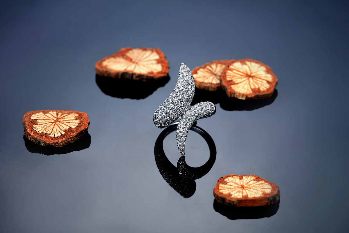 好久没更新了（图ZNzQzMjMxNDQ=） - 产品摄影 - 站酷设计师摄影师大刘原创素材 - 站酷ZCOOL