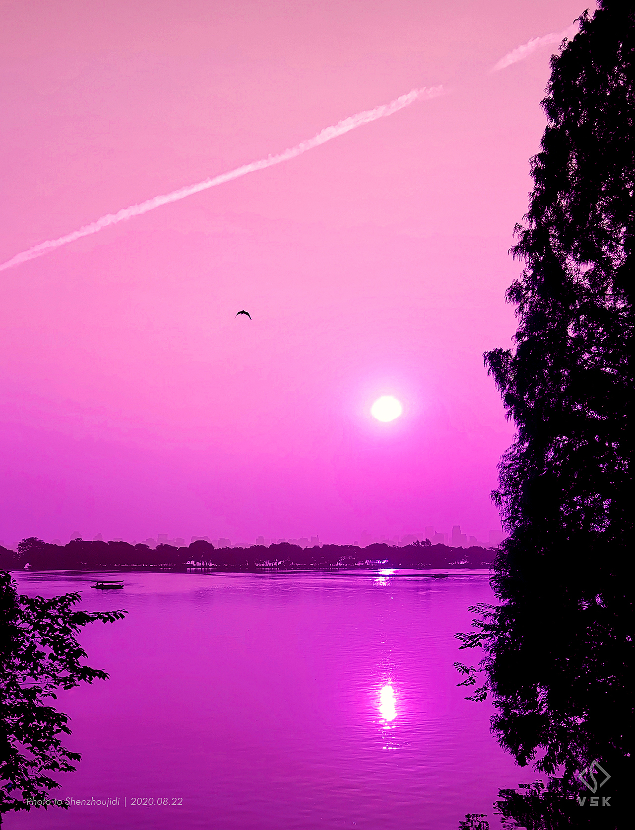 连夜拍日出而不得