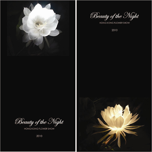 夜间花卉展的海报和明信片（图ZNzQ5ODQxNg==） - 宣传物料 - 站酷设计师黄钿原创素材 - 站酷ZCOOL
