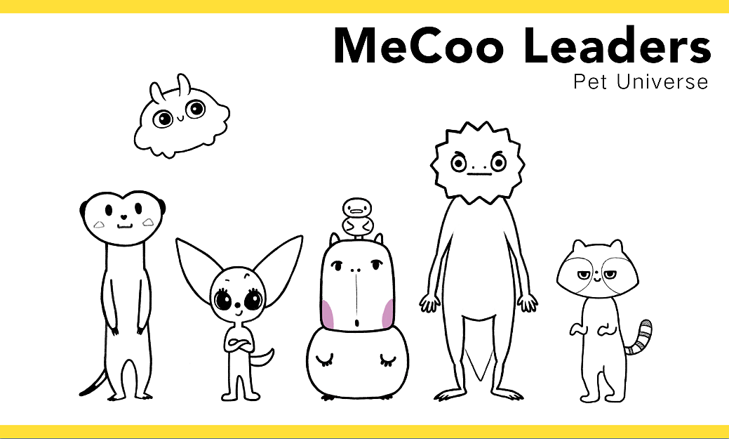 Mecoo Leaders