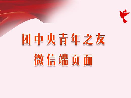 团中央青年之友