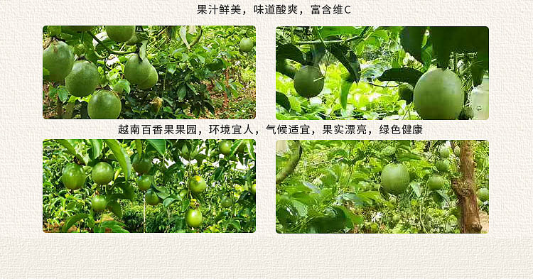 果然壹品以往详情页——百香果（图ZMTE0NDc3NzI0） - 宣传物料 - 站酷设计师邱公城原创素材 - 站酷ZCOOL