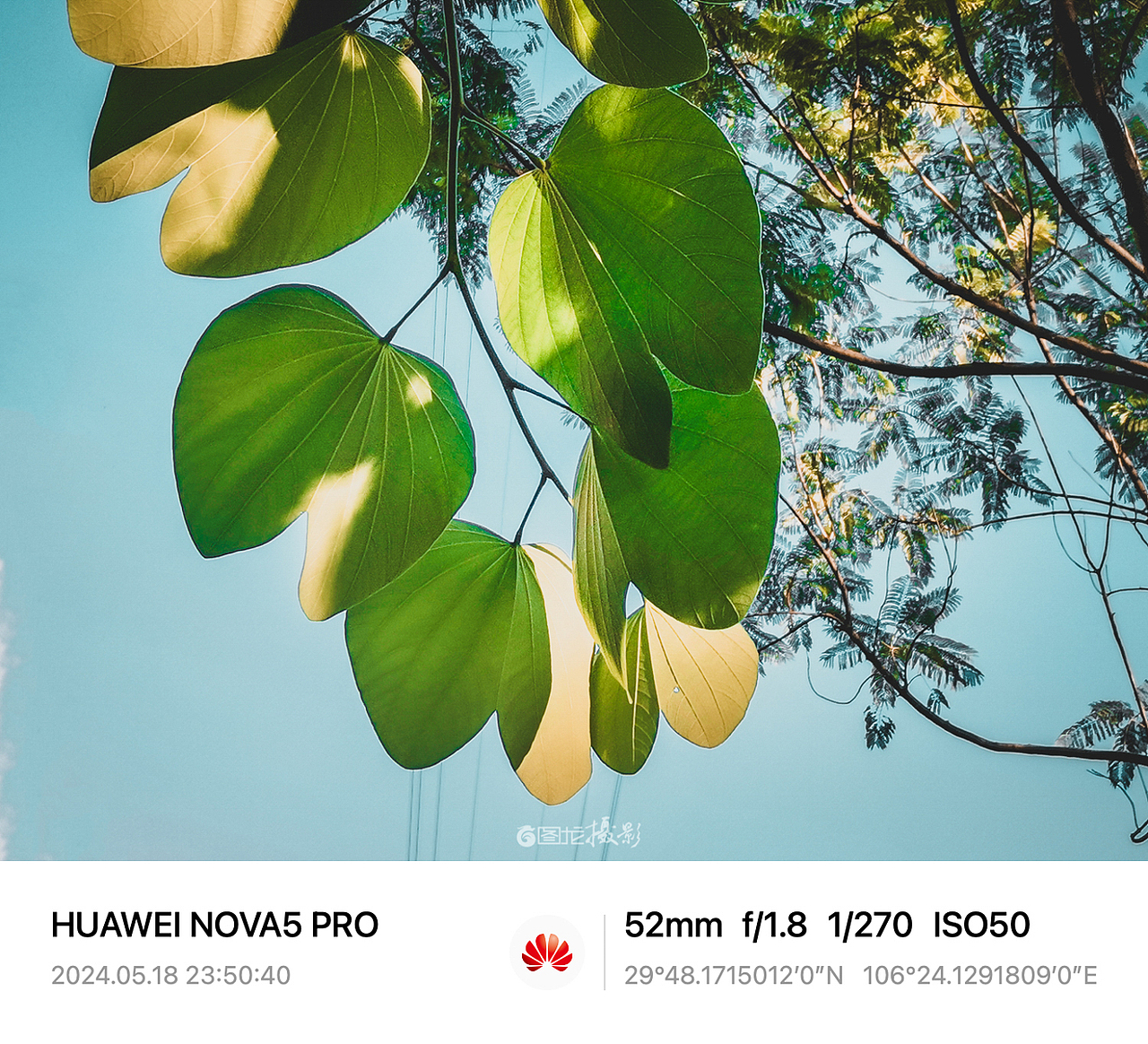 记录生活不仅是对美好的捕捉,更是一场旅行