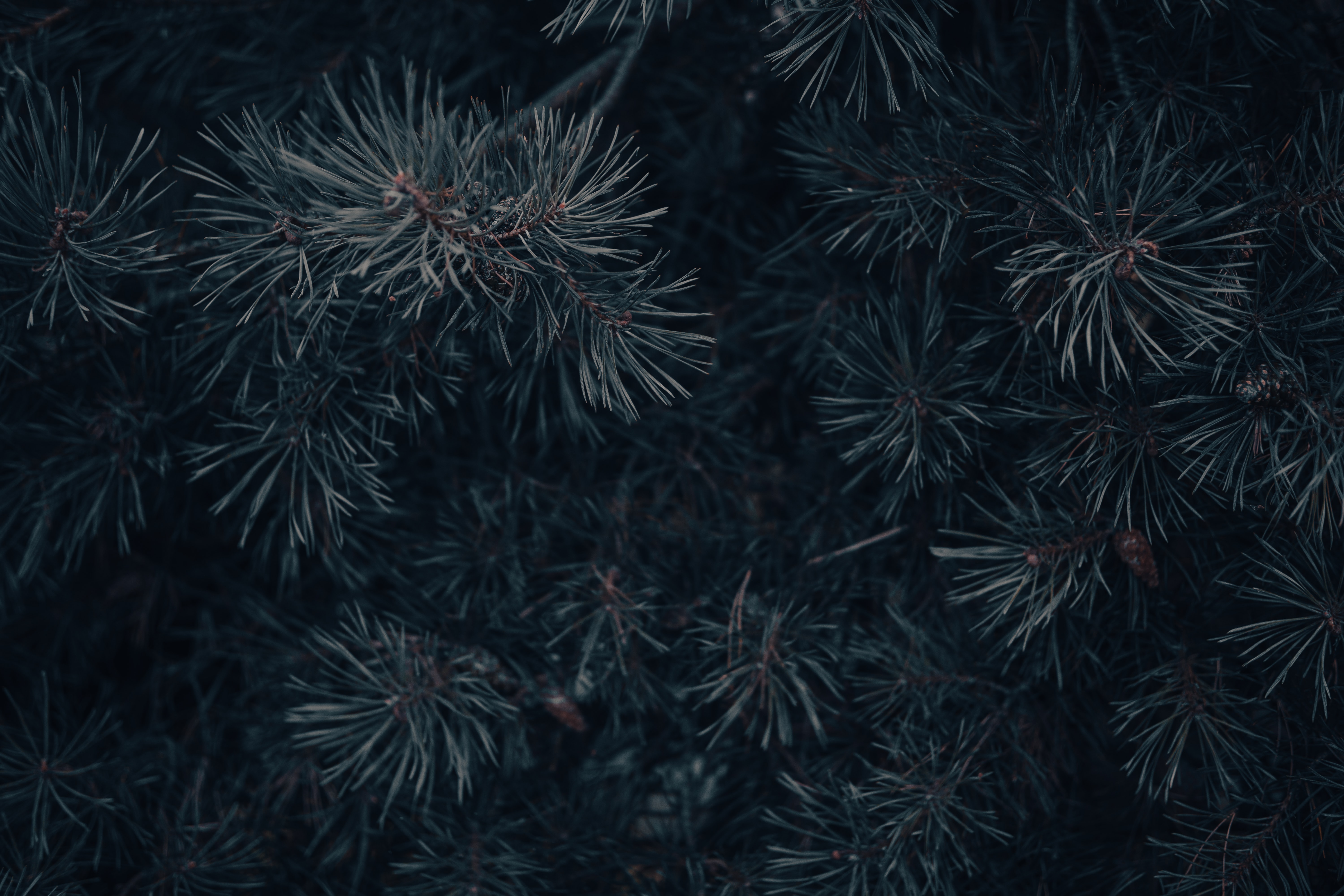 MaomingY的个人主页（封面预览） - 主页封面设置 - 站酷设计师MaomingY原创素材 - 站酷ZCOOL