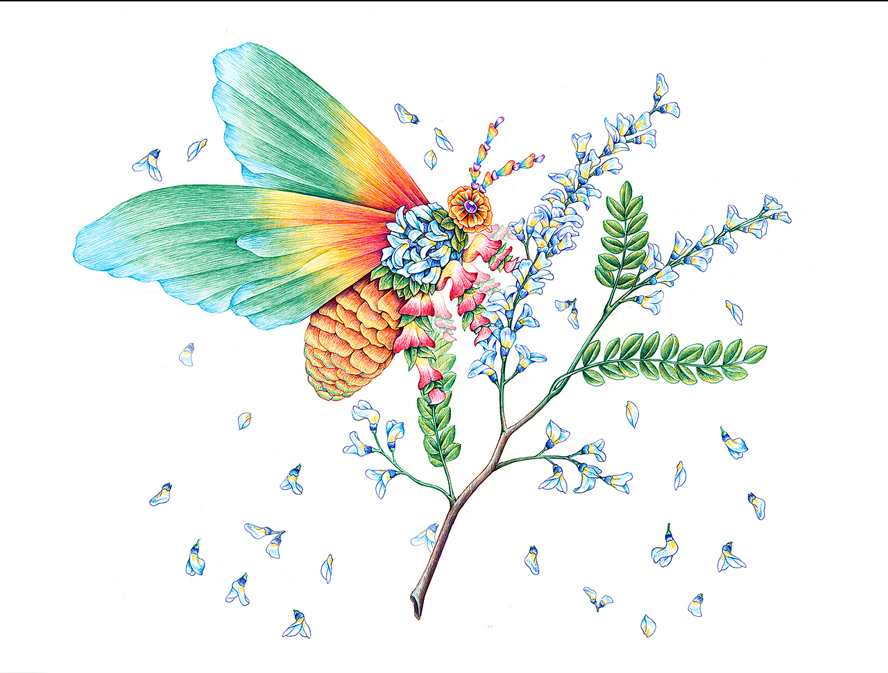 蜂蜜包装插画（图ZOTA0NTgzNjA=） - 商业插画 - 站酷设计师舒展原创素材 - 站酷ZCOOL