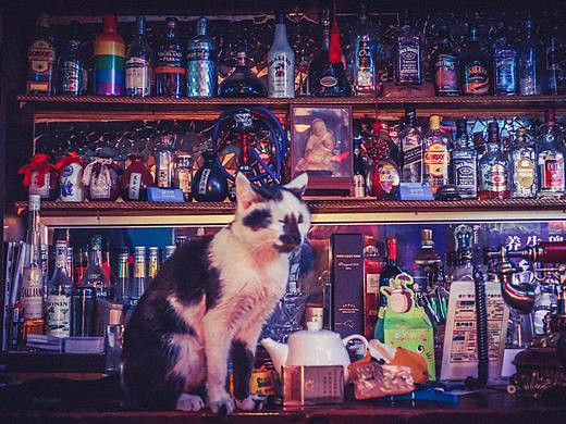 温情私厨酒馆拍摄