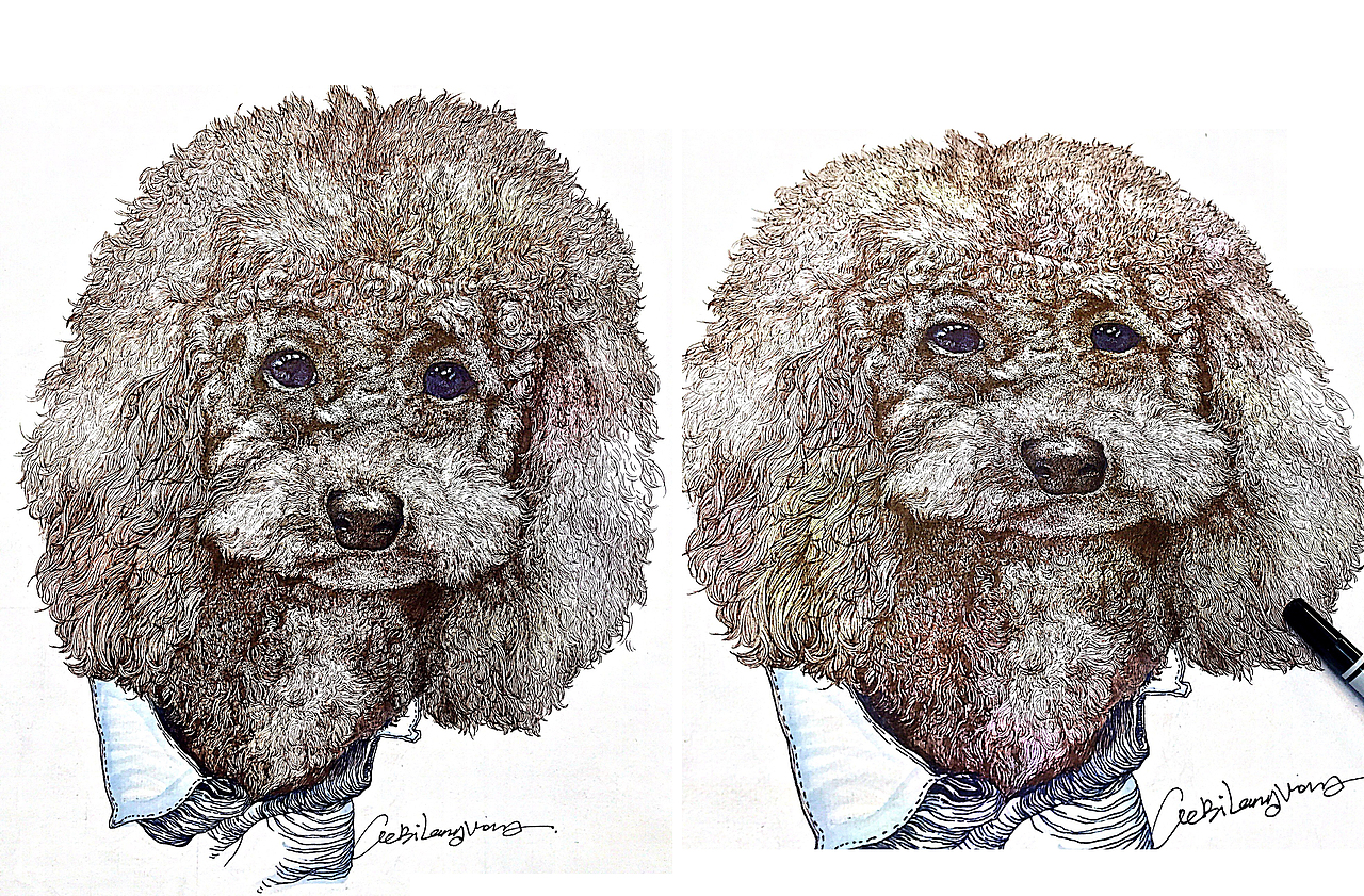 大一插画（图ZMTcwMDA2MDQ4） - 创作习作 - 站酷设计师大丌原创素材 - 站酷ZCOOL