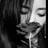 漂泊的根号7的头像