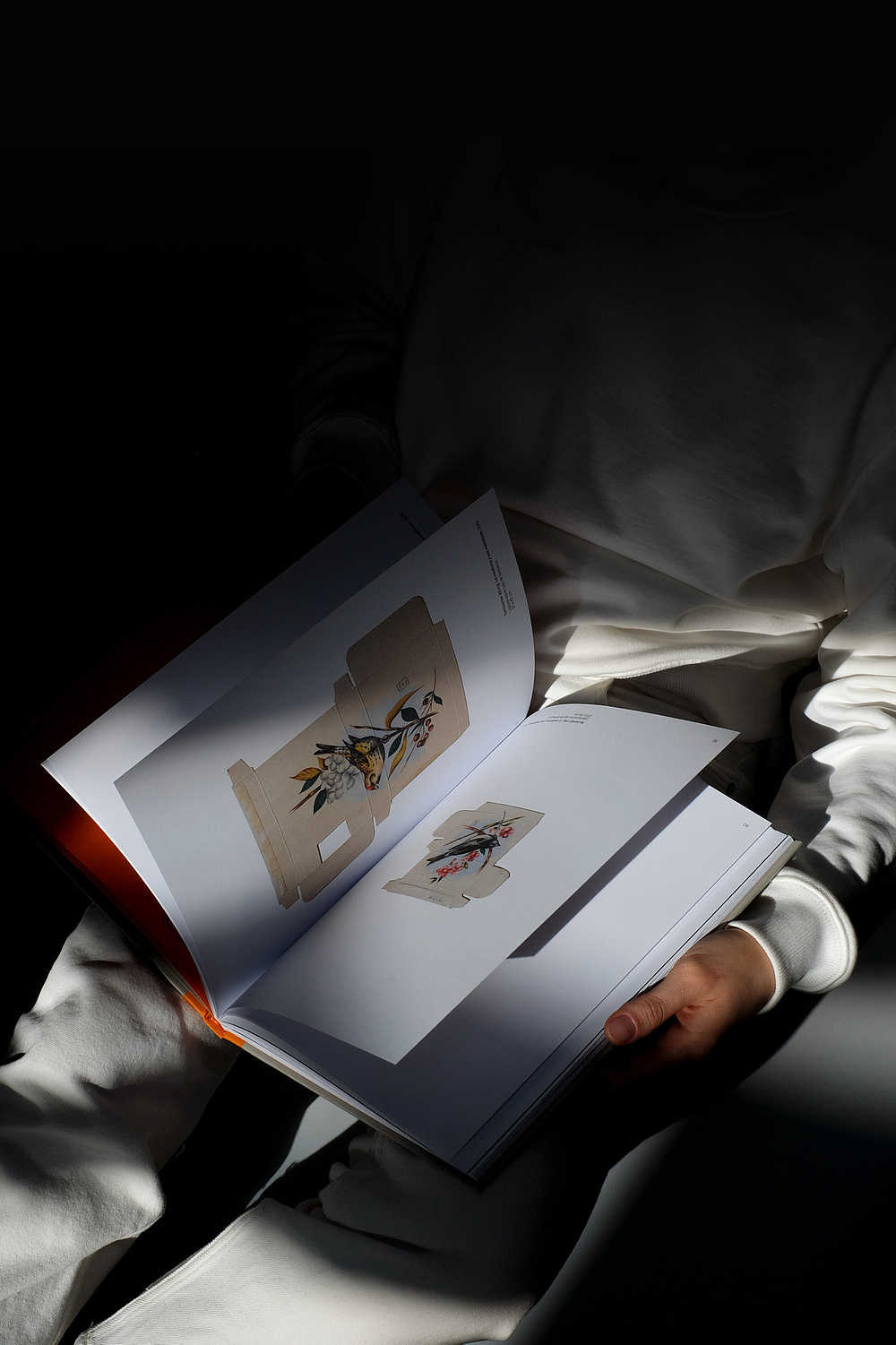 设计分享/ILUSTRAD/AS（图ZMjc5OTgxNjY0） - 书籍/画册 - 站酷设计师BranD杂志原创素材 - 站酷ZCOOL