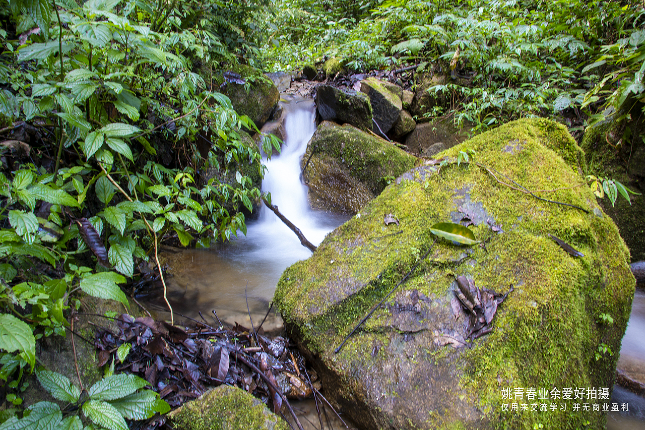 云南旅游攻略自由行临沧市凤庆县自然风光山水风景姚青春2021