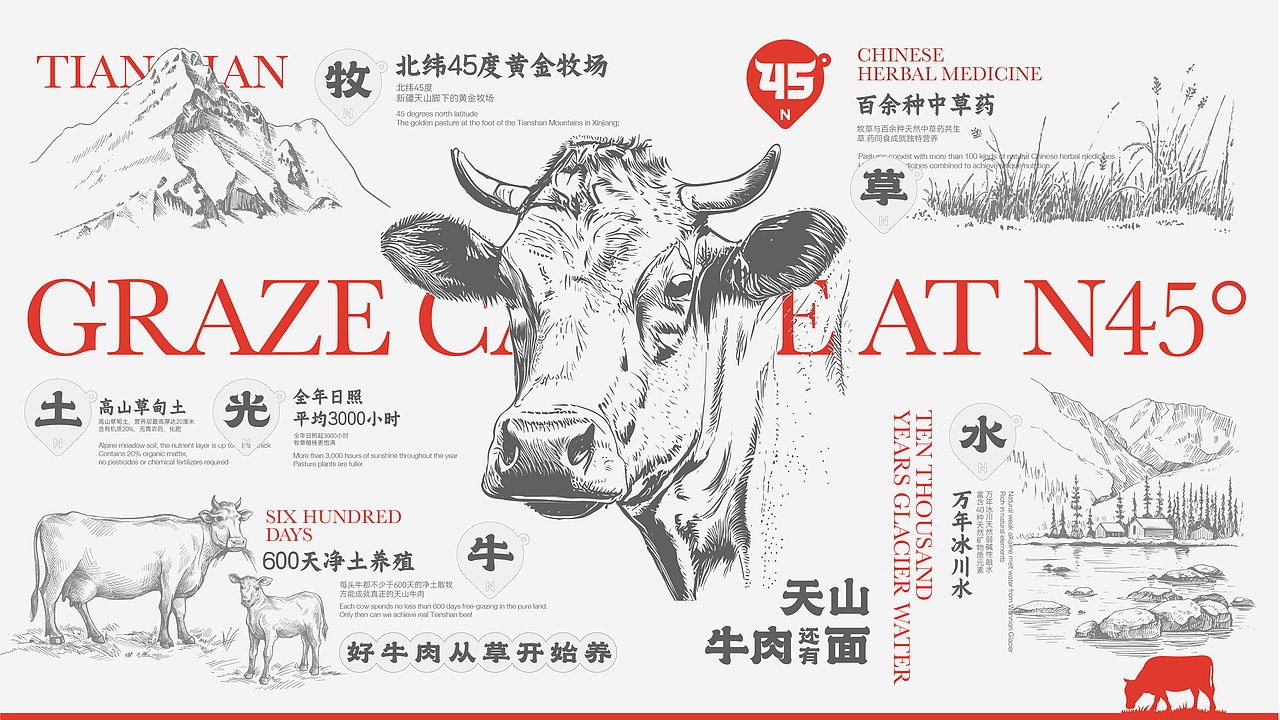 牧牛北纬45度牛肉面品牌全案（图ZMzY3NDEyMjc2） - 品牌 - 站酷设计师王十三品牌设计原创素材 - 站酷ZCOOL