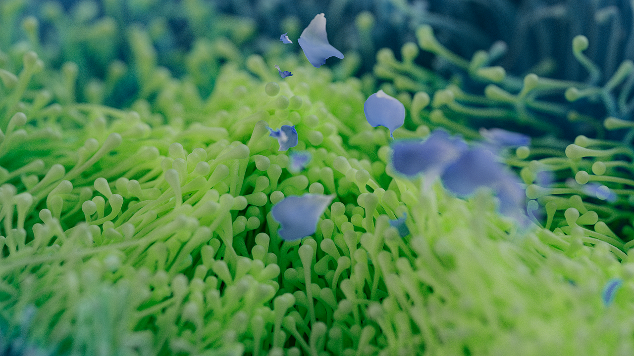 Song of the flowers 花/语（图ZMjk3MDk5OTEy） - 动画/影视 - 站酷设计师Clown一鸿原创素材 - 站酷ZCOOL