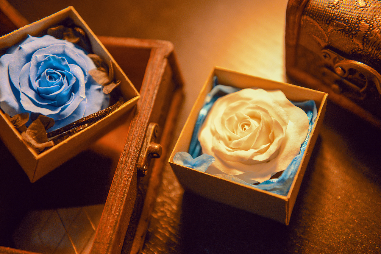 超轻粘土——玫瑰花